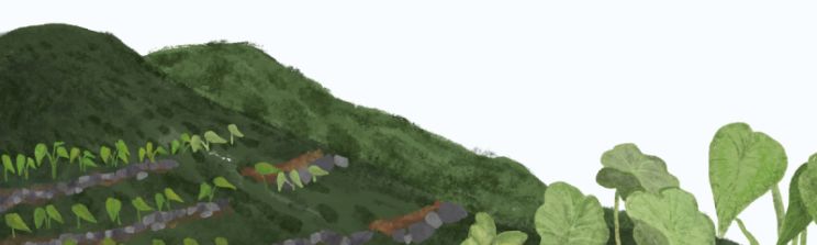 料理台灣贊助區塊背景