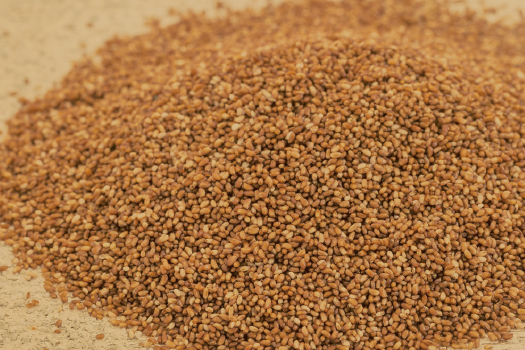 苔麩（Teff）