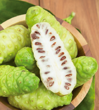 諾麗果（Noni）